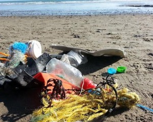 2minutebeachclean