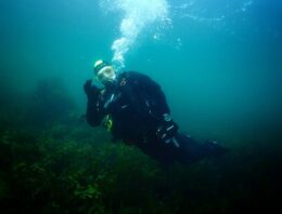 Virtual Dive Through a Rocky Reef in Strangford Lough